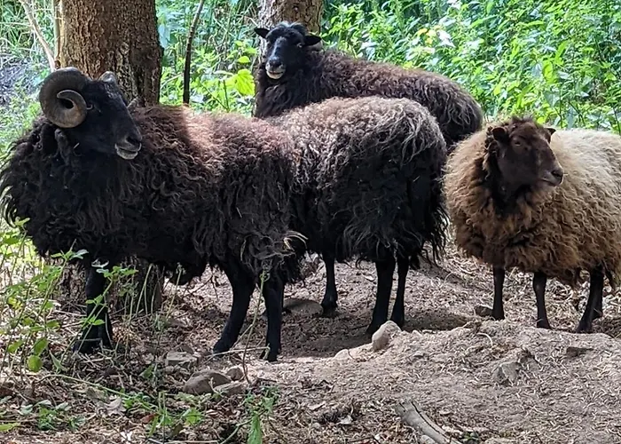 Gaestehaus Stein Im Thueringer Wald *