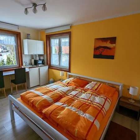 Apartment Gaestehaus Stein Im Thueringer Wald Rottenbach (Konigsee)